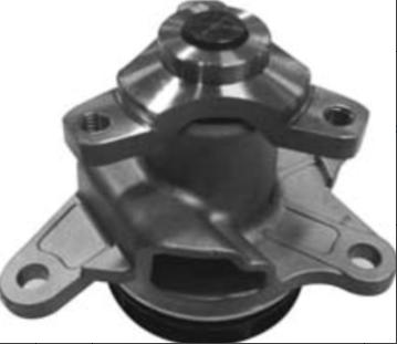 210108796R Water pump for RENAULT