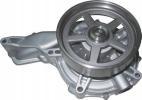 3161436  3803930  3803844  3801484  85000062 Water pump for MACK TRUCK