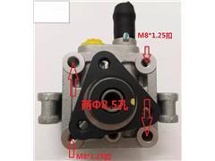 32416756611
  32416758595
  6 758 595
  6 756 611
  DSP1289
   Power Steering Pum