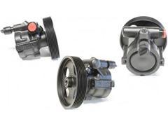 8200838037
  491100246R
  8200024778
  8200712890
   Power Steering Pump for NISS