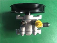  Power Steering Pump for Leopaard