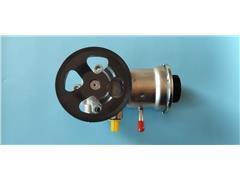  Power Steering Pump for Leopaard