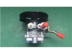 Power Steering Pump for Leopaard