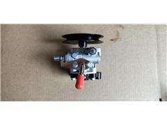 Power Steering Pump for Leopaard