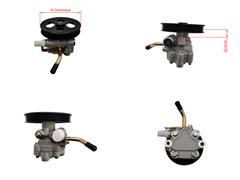  Power Steering Pump for Leopaard