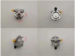 8200838037
  491100246R
  8200024778
  8200712890
   Power Steering Pump for Rena