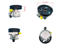 0600150645
   Power Steering Pump for Renault