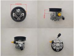 1102DAA03551N
   Power Steering Pump for TATA