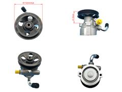 49110-MP100
   Power Steering Pump for LUXGEN