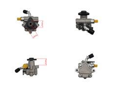 30010052
  10448840
   Power Steering Pump for MG