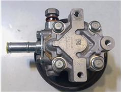 X10006295   Power Steering Pump for Peugeot