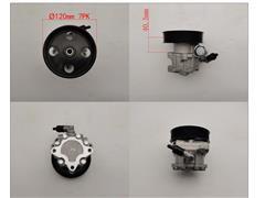 PSH0008977   Power Steering Pump for Fukuda