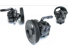 NC10-32-600B  NC10-32-600C  NC10-32-600D   Power Steering Pump for Mazda