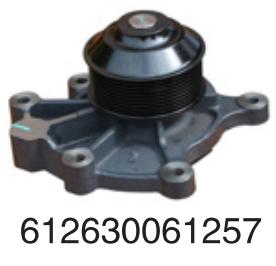 612630061257 Wechai Wp13/P 10 h diesel  for Engine Truck water Pump