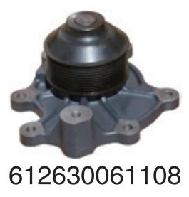 612630061108 Wechai Wp13/P 10 h diesel  for Engine Truck water Pump