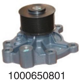 10000650801 Wechai Wp13/P 10 h diesel  for Engine Truck water Pump