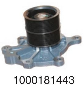 1000181443 Wechai Wp13/P 10 h diesel  for Engine Truck water Pump