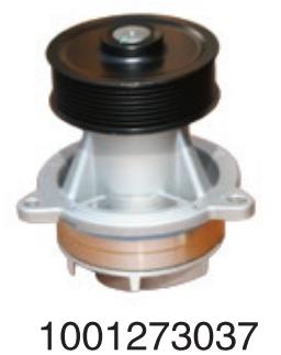 1001273037 Wechai Wp13/P 10 h diesel  for Engine Truck water Pump