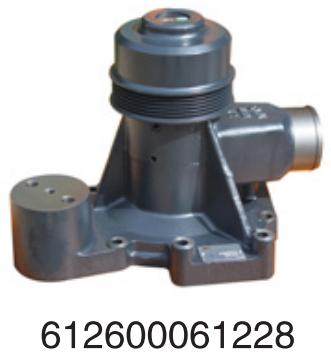 612600061228 Weichai Engines HOWO diesel  Marine engine water pump assembly for E