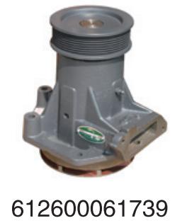 612600061739 Weichai diesel engine engineering for Engine Truck water Pump