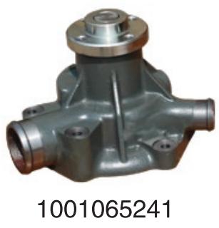 1001065241 Weichai diesel engine Deutz series  for Engine Truck water Pump