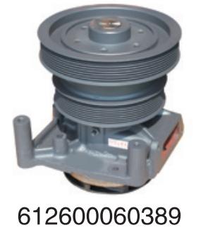612600603889 Weichai diesel engine FAW SHACMAN Delong for Engine Truck water Pump