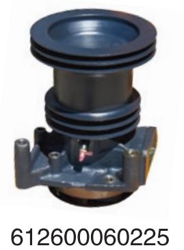 612600060225 Weichai diesel engine FAW SHACMAN Delong for Engine Truck water Pump