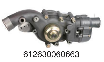 612630060663 Weichai diesel engine WP12/WP13   for Engine Truck water Pump