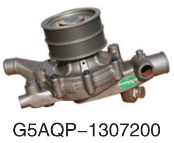G5AQP-1307200 Yuchai Yulin diesel   for Engine Truck water Pump